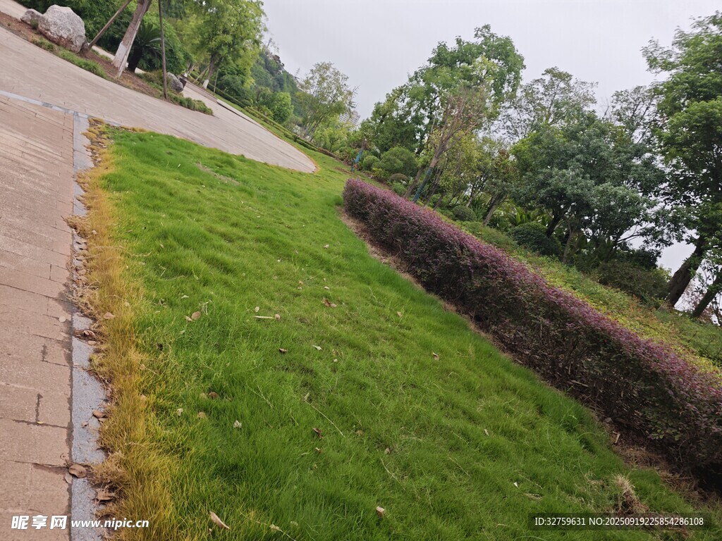 路邊整齊的草坪與綠植