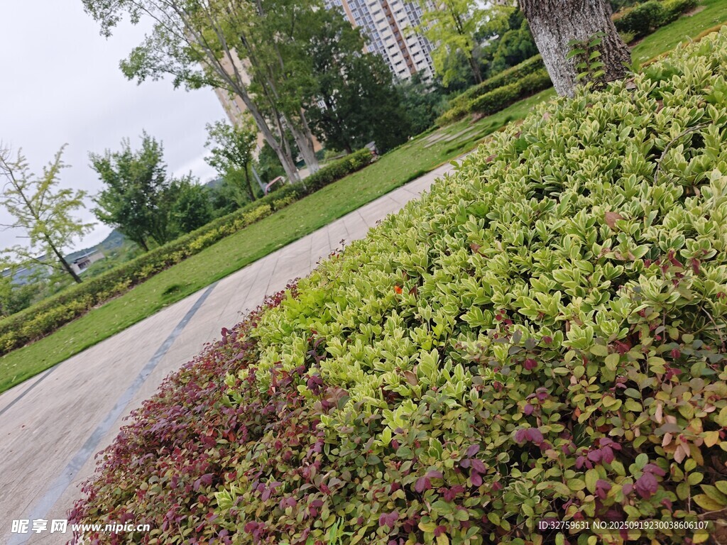 城市綠植景觀一角