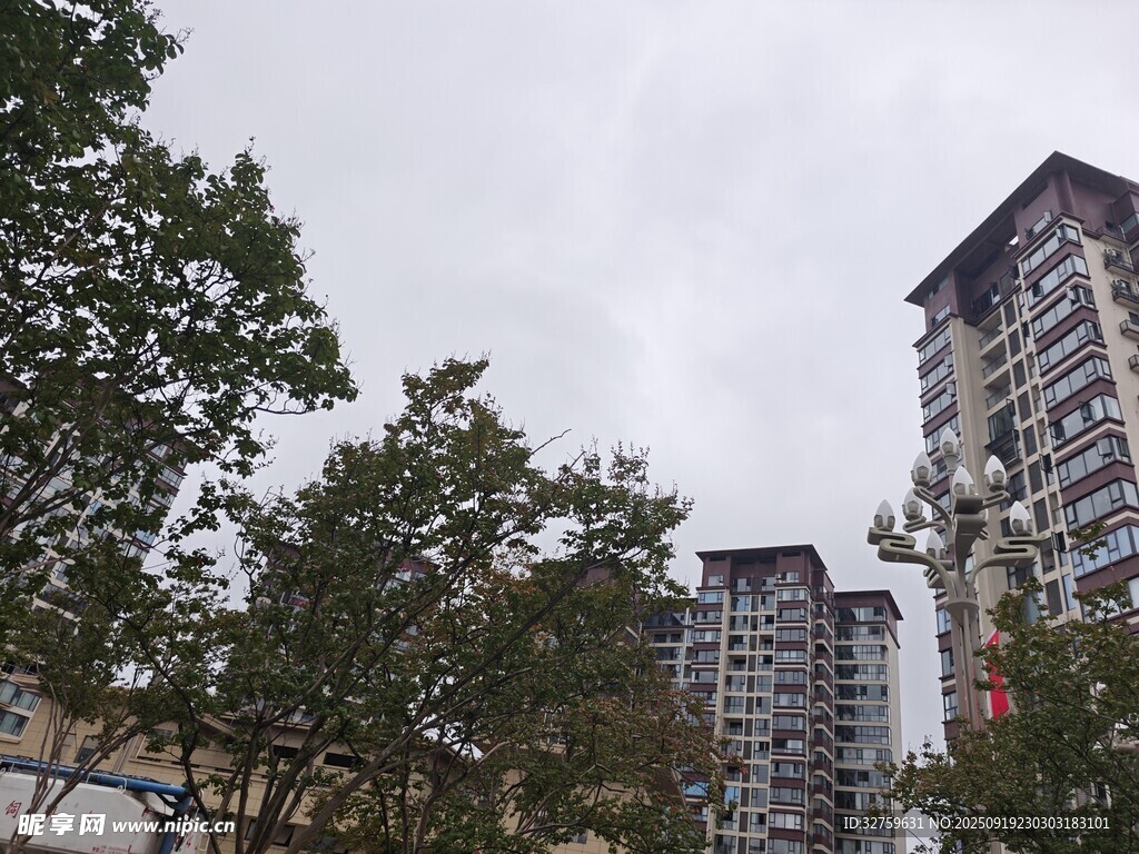 城市中的高樓與綠樹(shù)