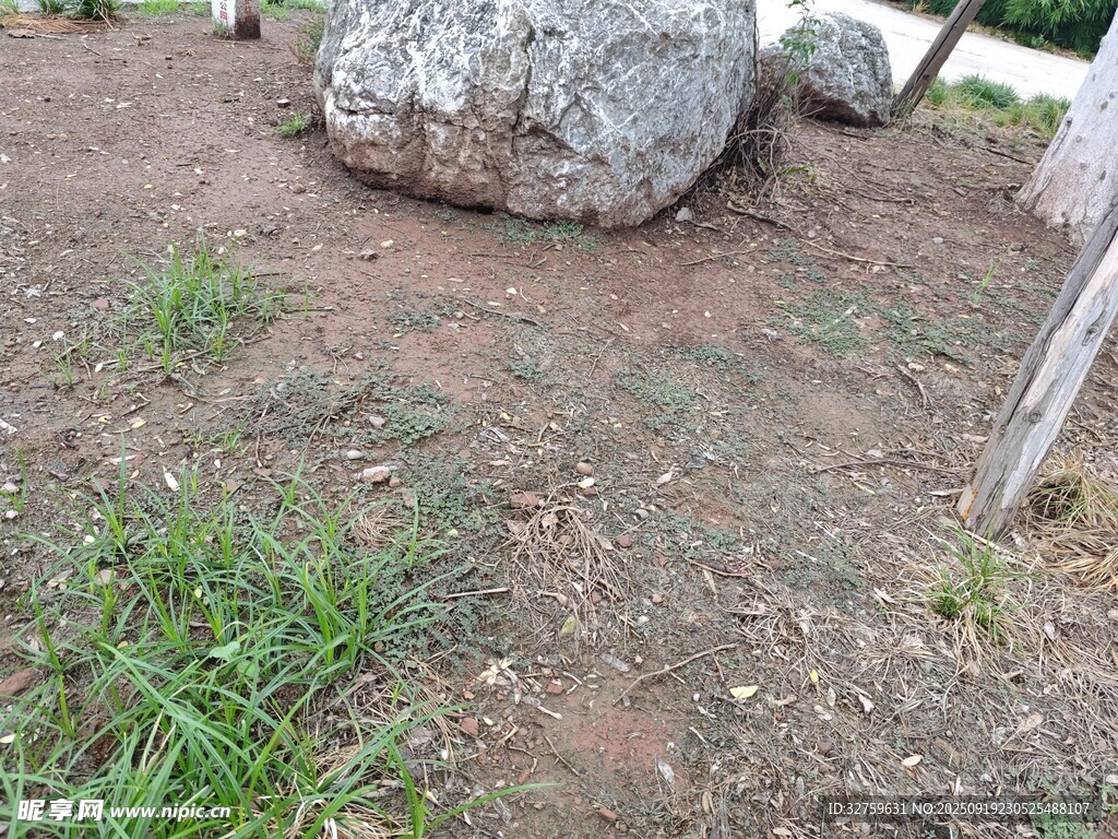戶外大石旁的草地景象