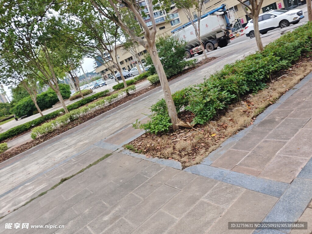 城市街道旁的綠植景觀
