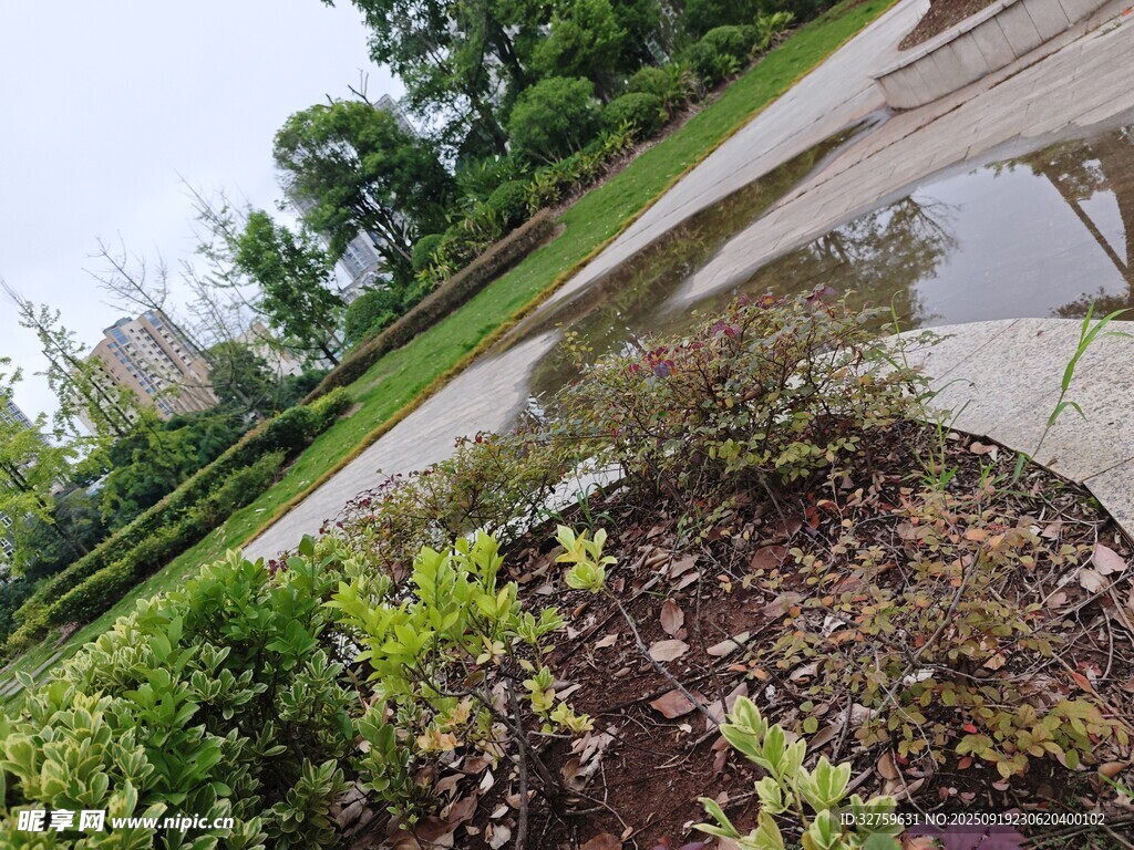 戶外綠植景觀小景