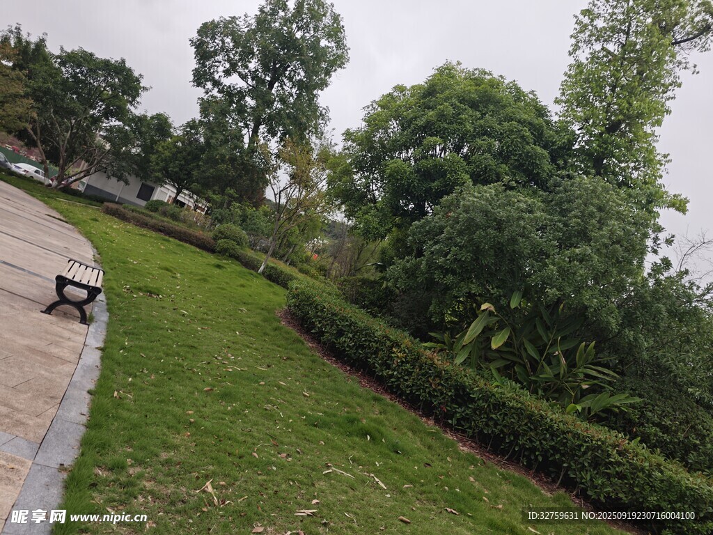 公園小徑旁的綠植與長椅
