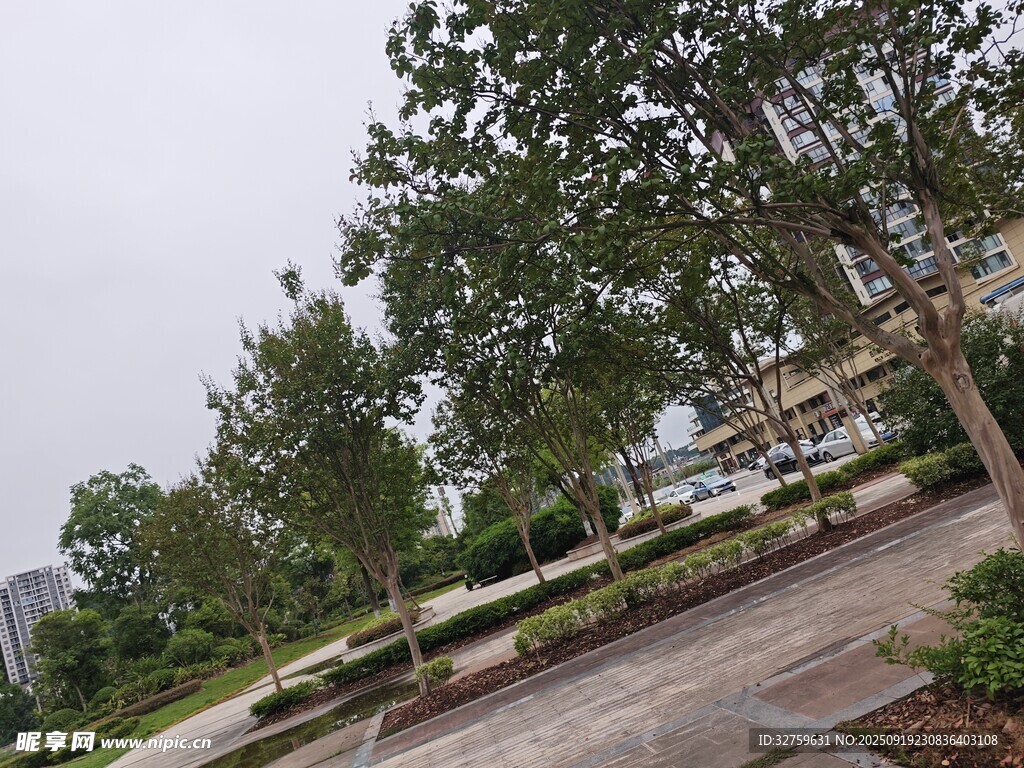 城市中的綠樹與開闊道路