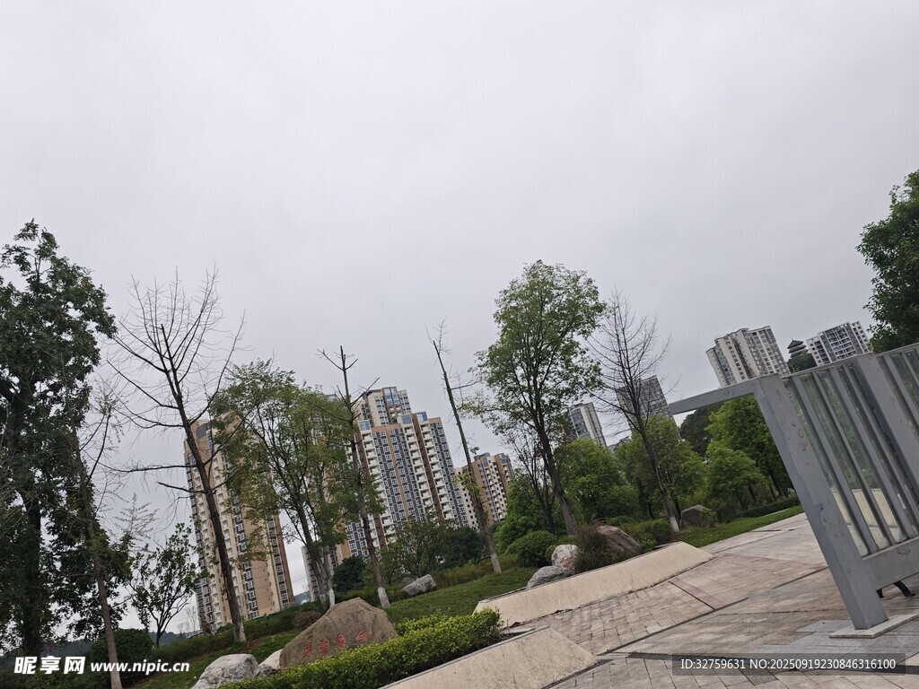 城市景觀中的綠植與建筑
