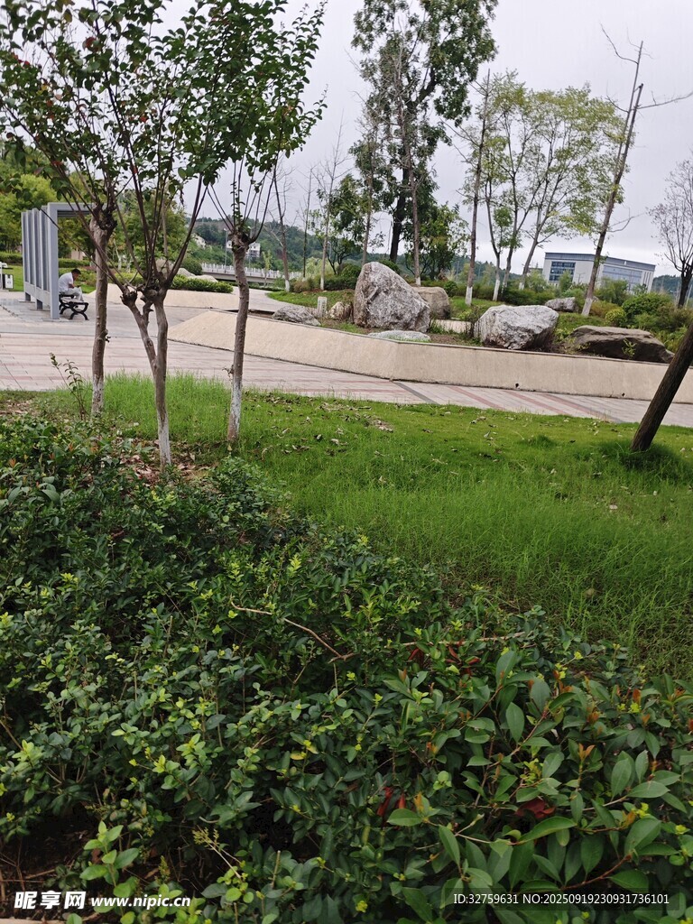 城市中的綠植景觀