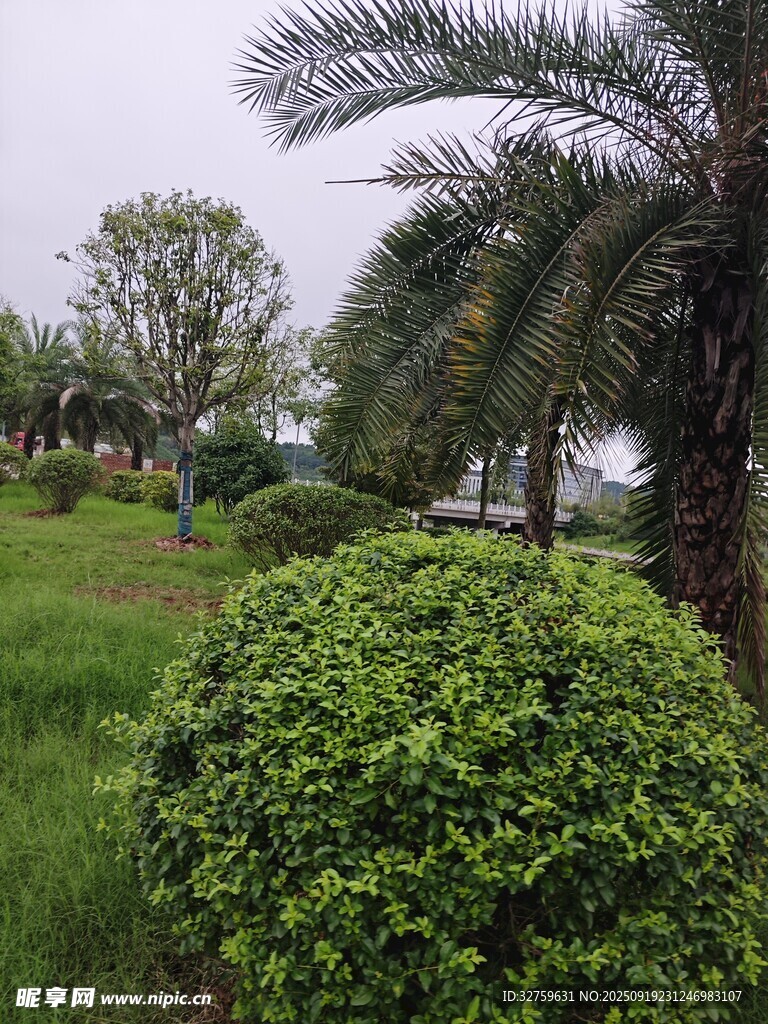 綠意盎然的園林景觀