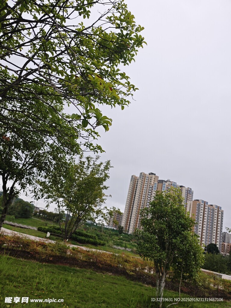 城市綠地旁的高樓景觀