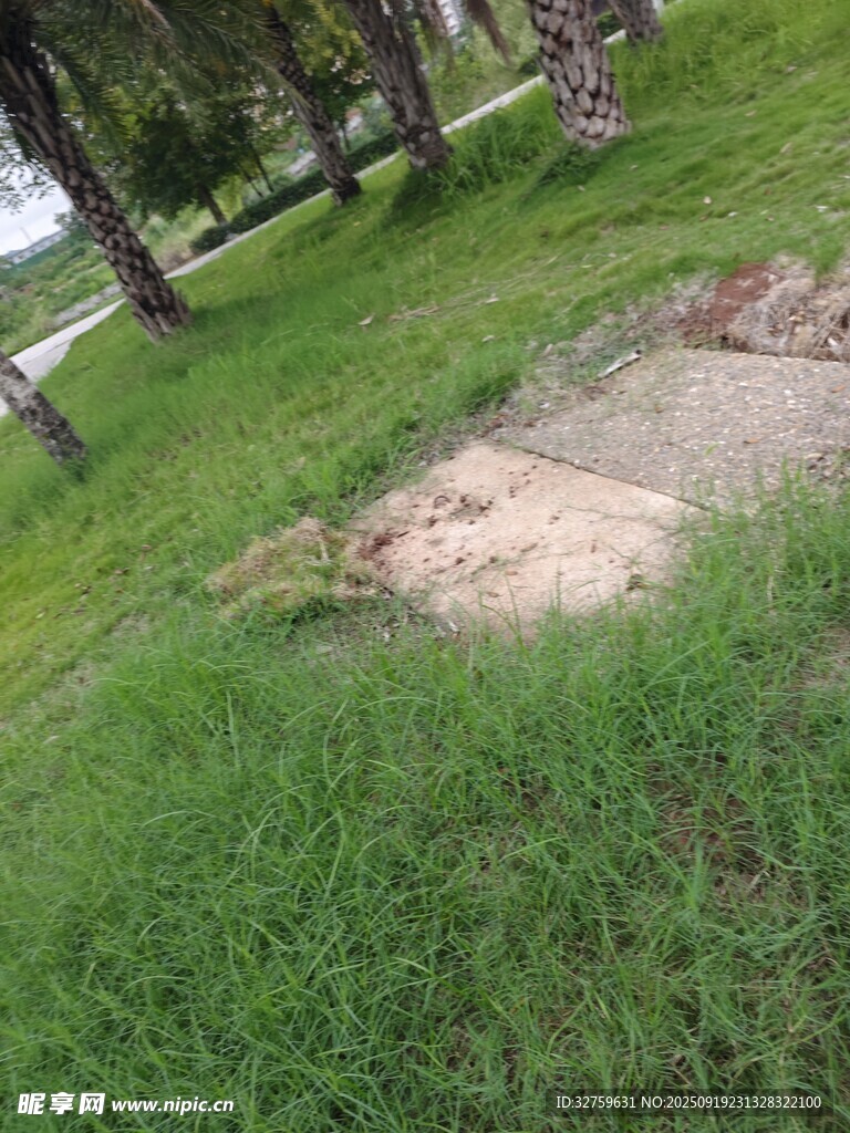 戶外草地中的一處沙土區(qū)域