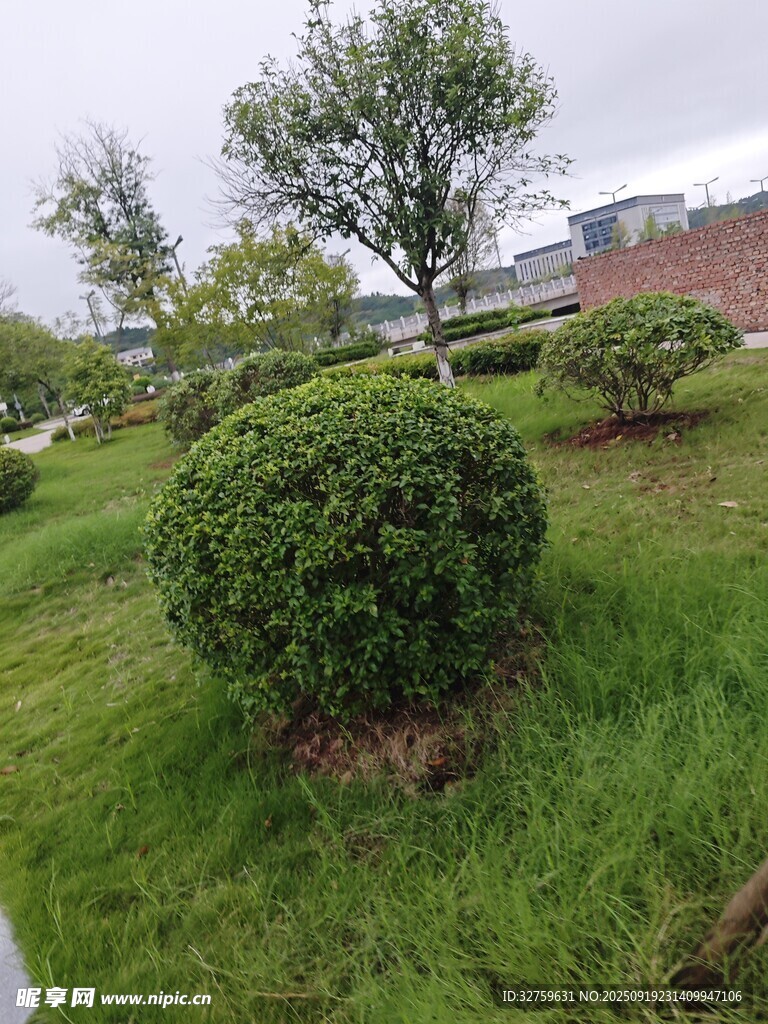 綠意盎然的園林景觀