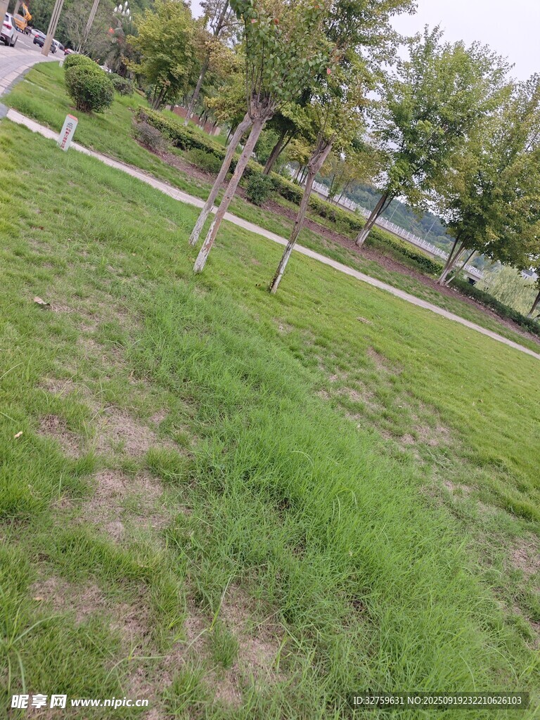 戶(hù)外翠綠草地與樹(shù)木景觀