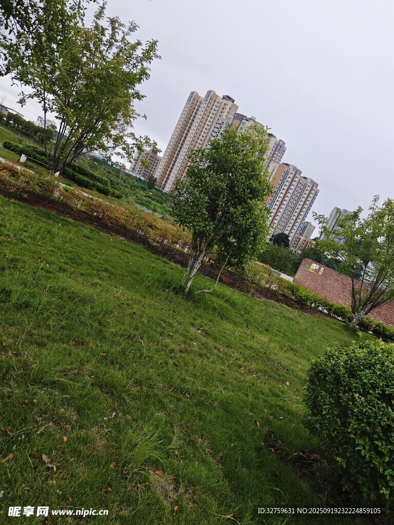 城市中的綠意草坪景觀
