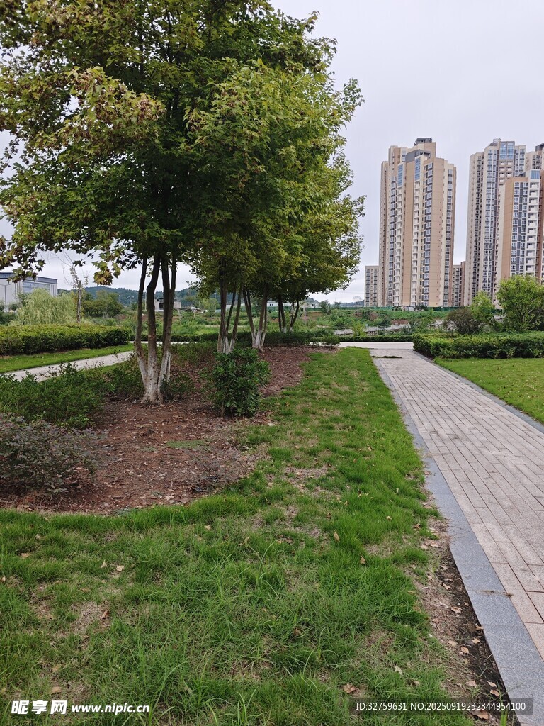 城市中的靜謐林蔭步道