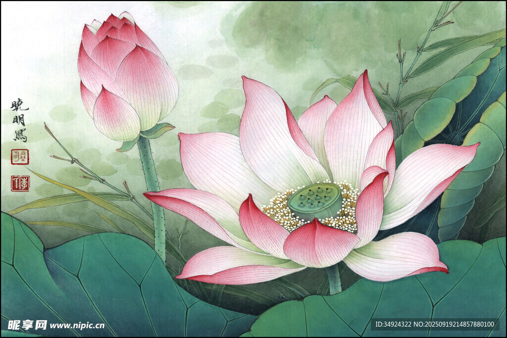 水墨荷花綻放圖