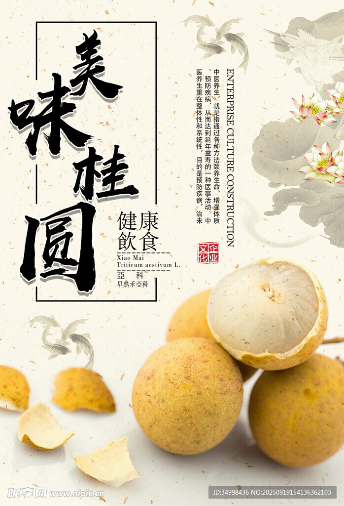 美味桂圓新鮮營養(yǎng)呈現(xiàn)