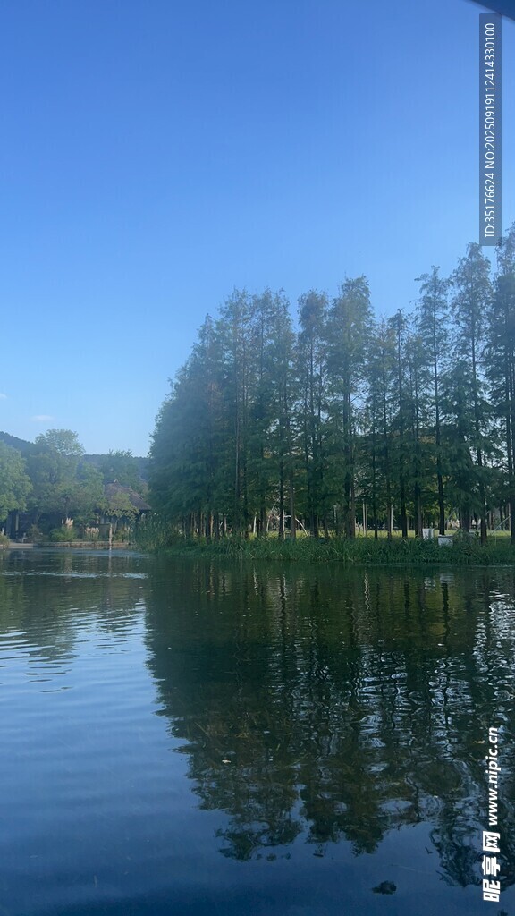 寧靜湖畔綠樹倒影美景