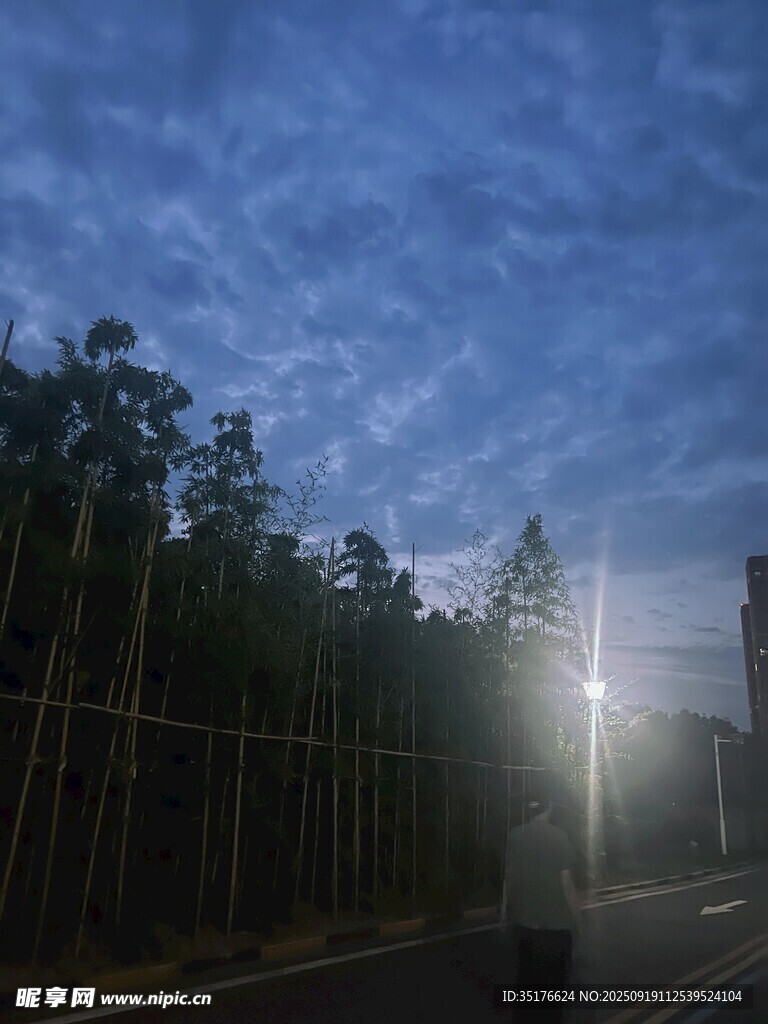 夜幕下的林間道路