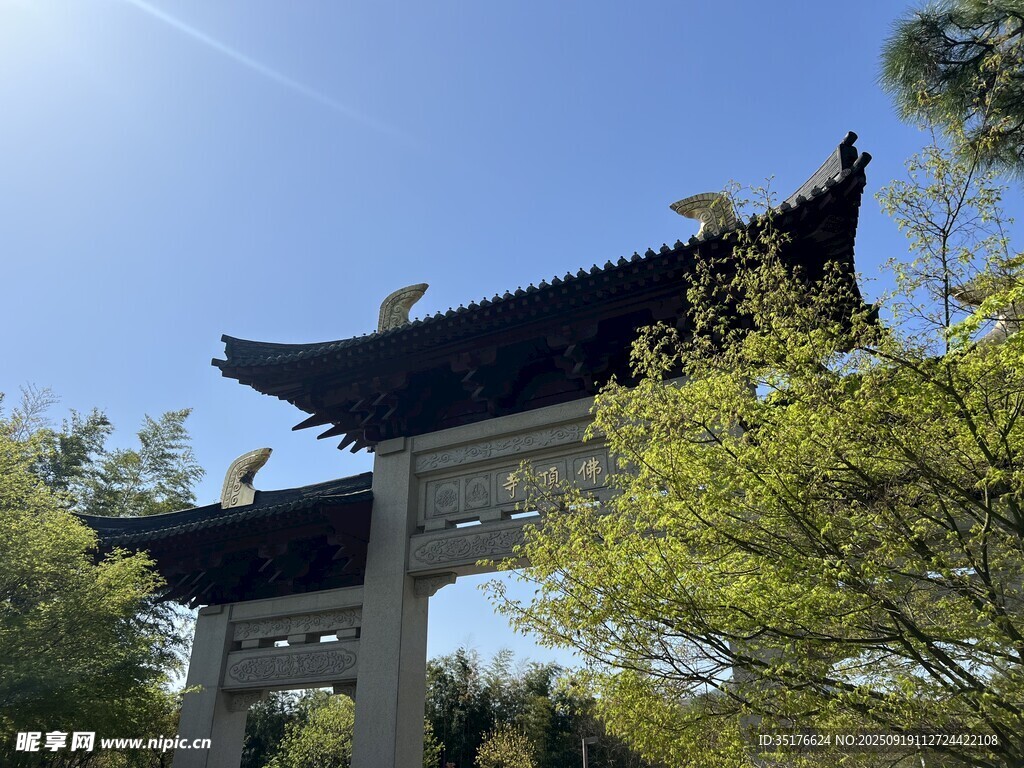 日式鳥居與蔥郁樹木景觀