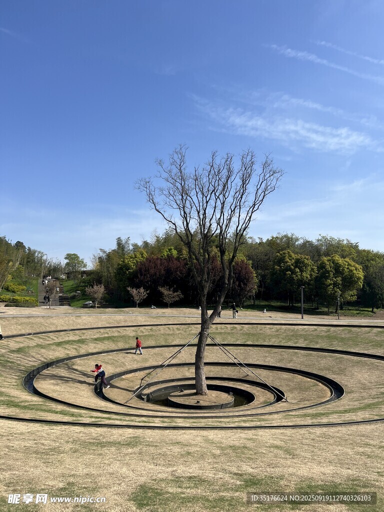 環(huán)形步道中的孤樹景觀