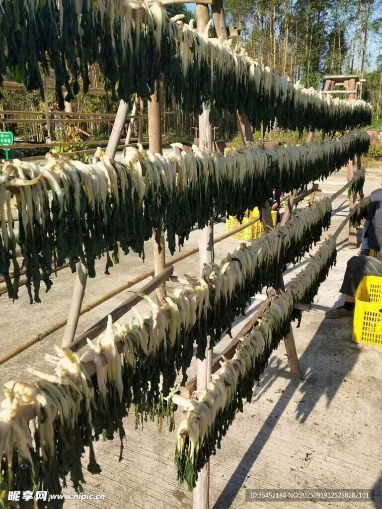 白菜干