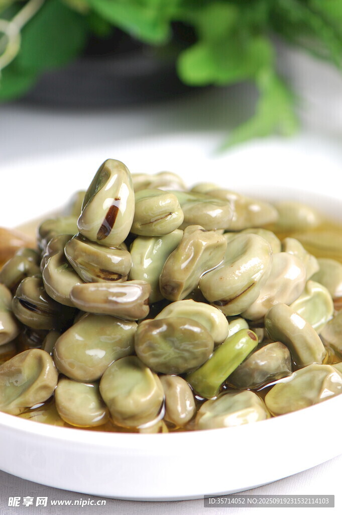 美味鹵煮蠶豆