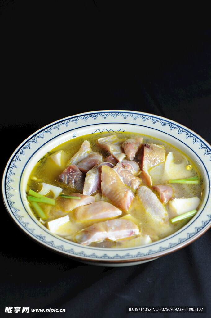 美味雞肉蔬菜湯