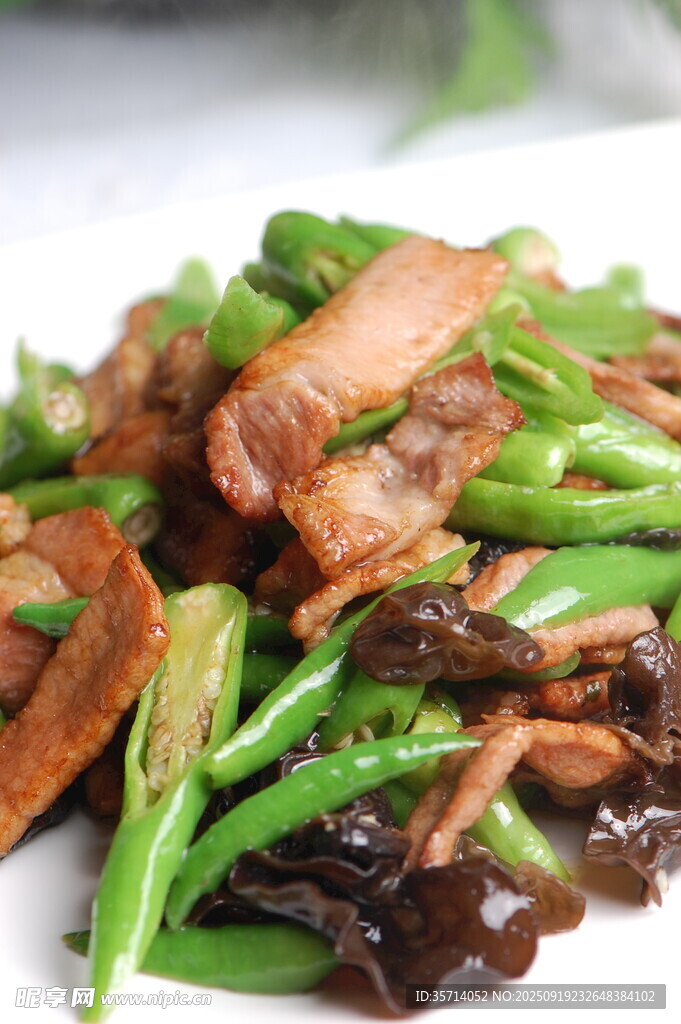 青椒木耳炒肉片