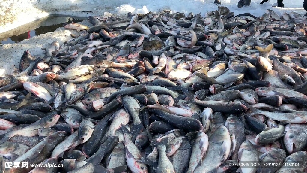 捕魚視頻素材
