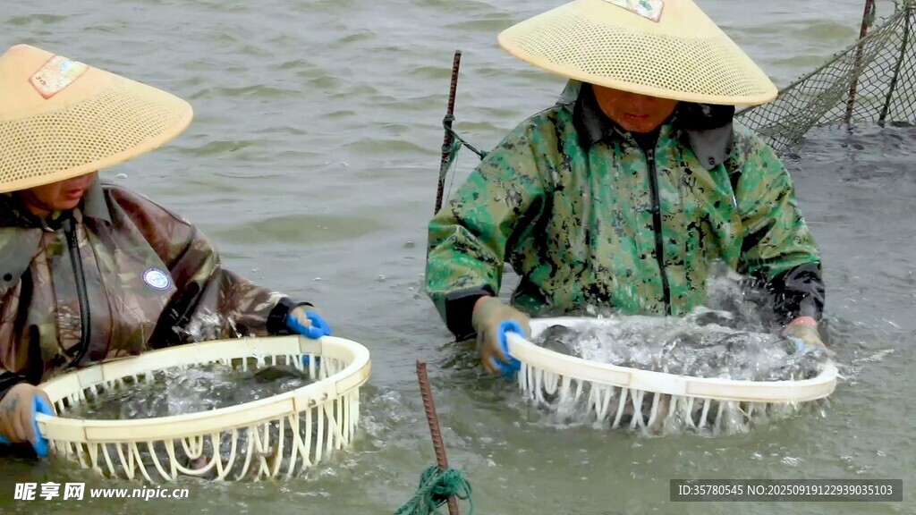 捕魚視頻素材