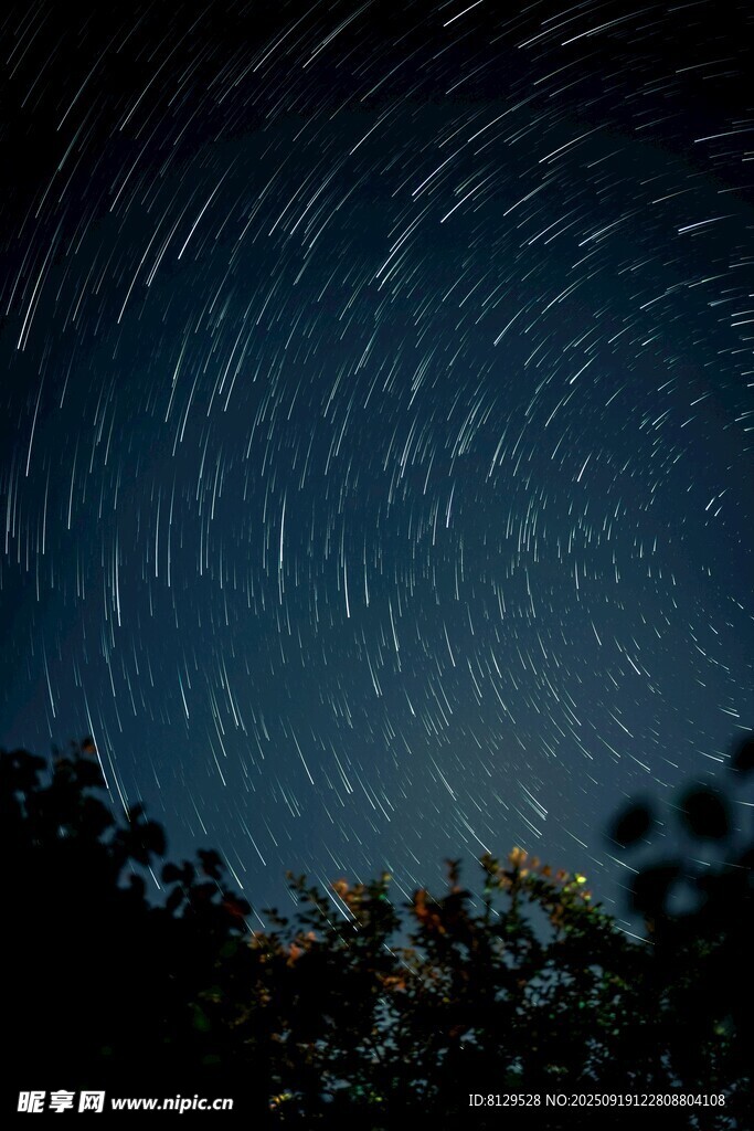 夜空星軌下的樹(shù)木剪影