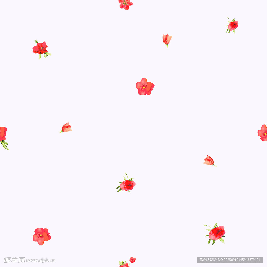 白色背景上的紅色小花