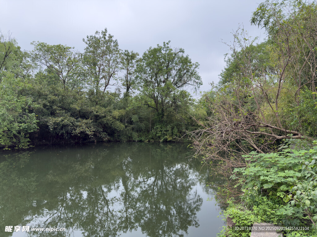 寧靜河畔自然景致