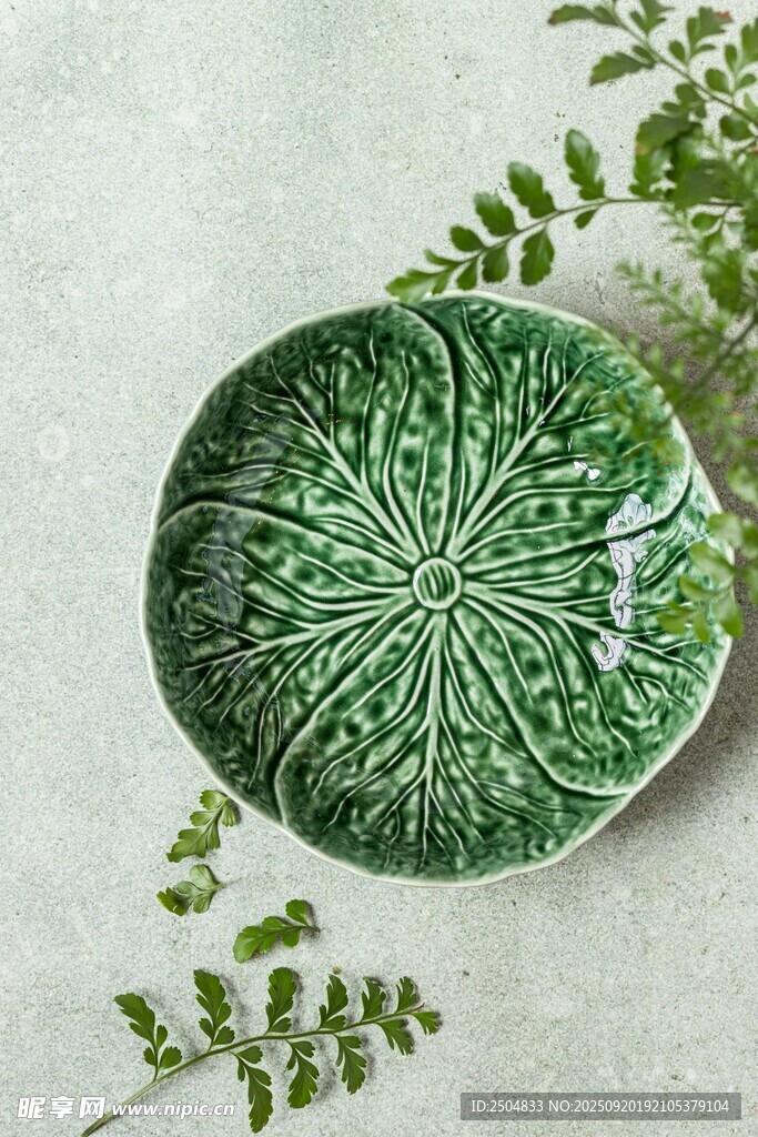 綠色花紋瓷盤與綠植搭配