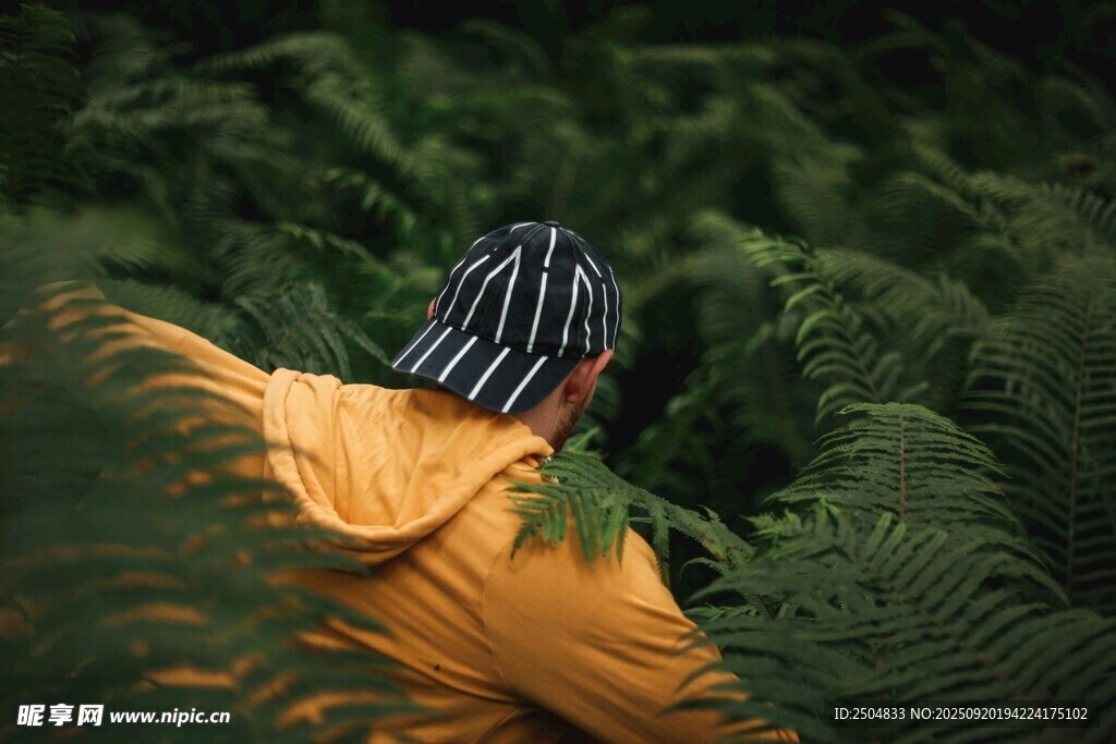 穿黃衣者于蕨類植物間