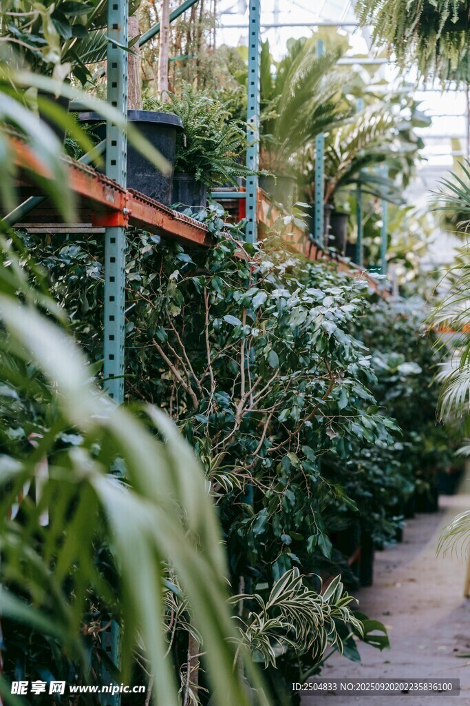 綠植環(huán)繞的幽靜小徑