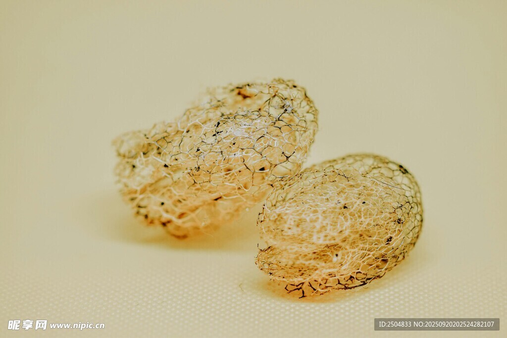 兩顆晶瑩的膠質(zhì)狀物體