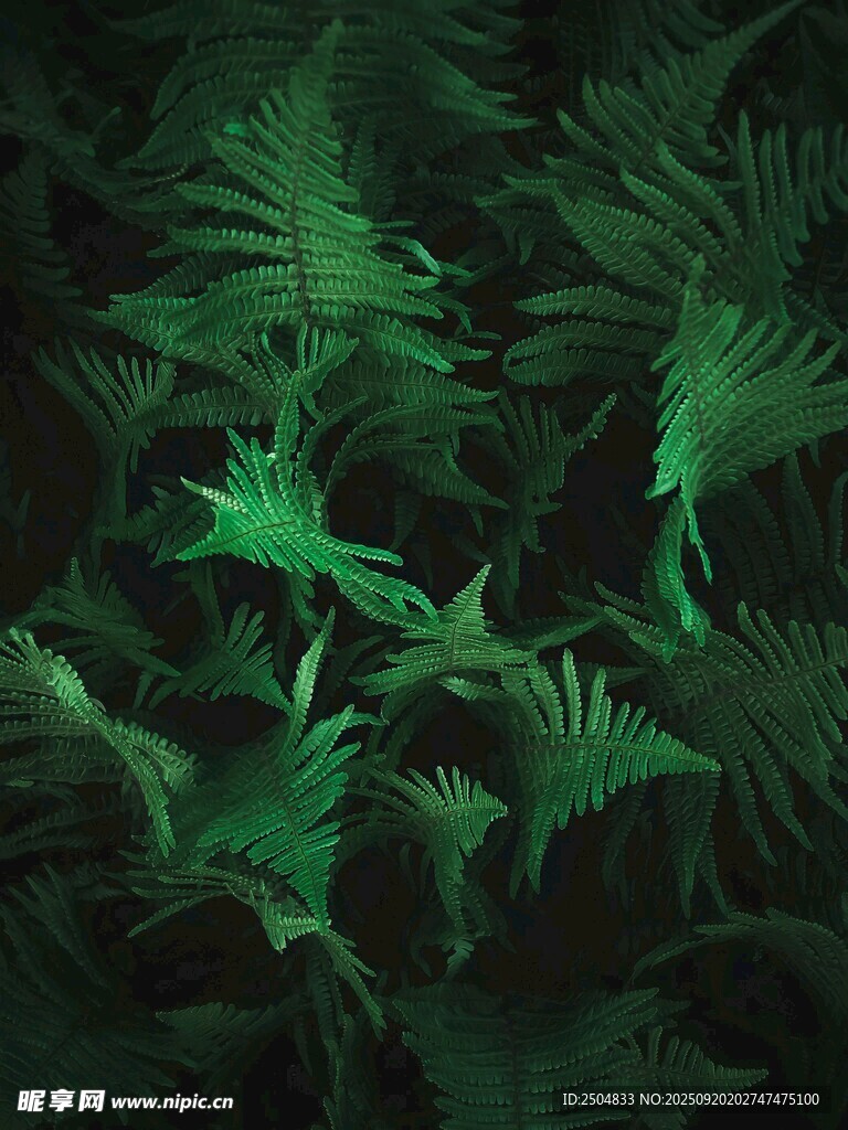 翠綠繁茂的熱帶植物景觀