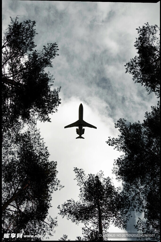 飛機穿越樹梢上空