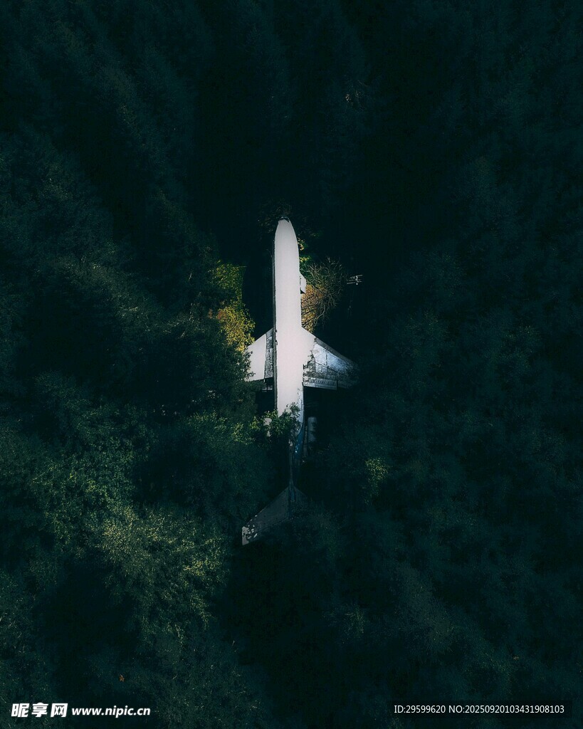 空中翱翔的白色飛機
