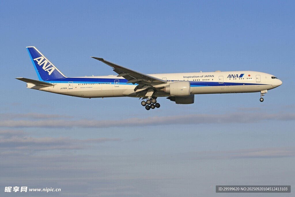 藍(lán)白飛機翱翔于天際
