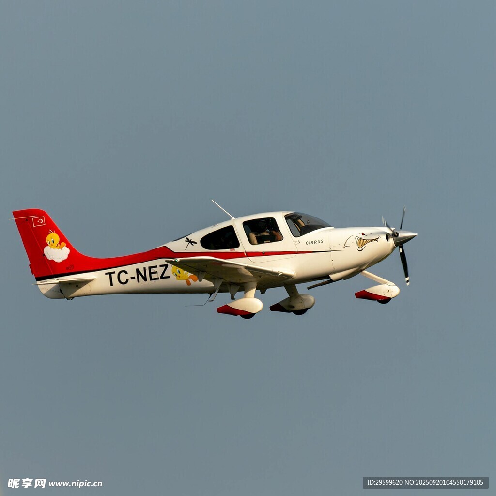 空中飛行的小型白色飛機