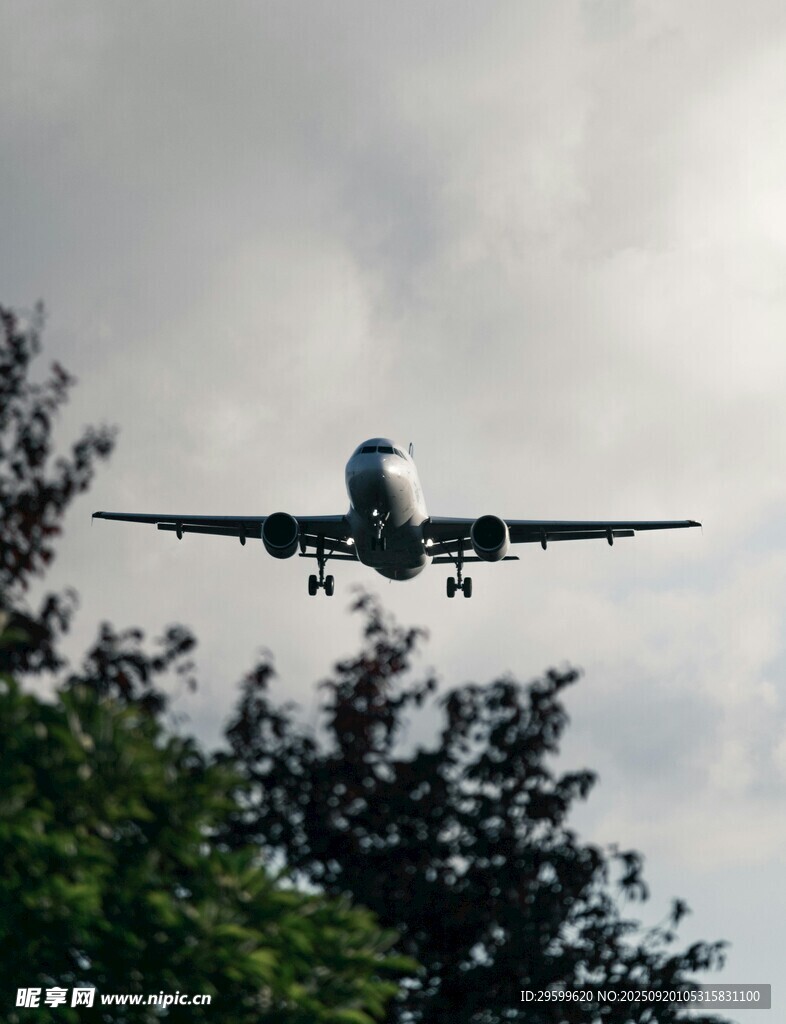 飛機(jī)低空飛過樹梢