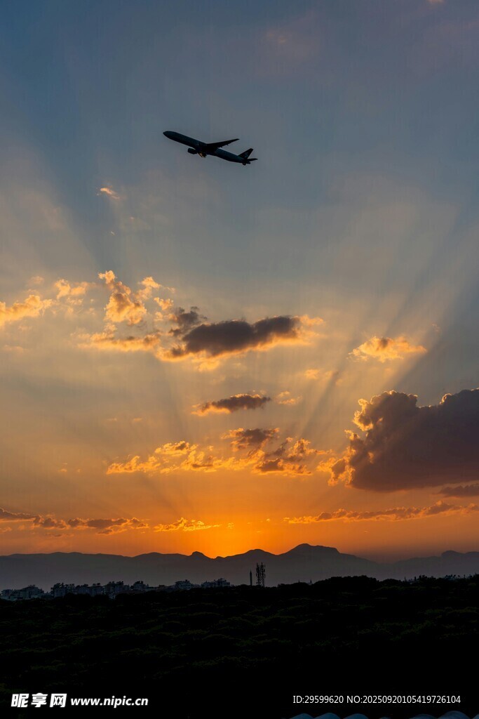 夕陽下飛機翱翔天際