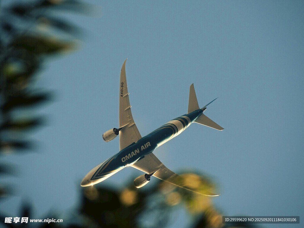 空中翱翔的飛機