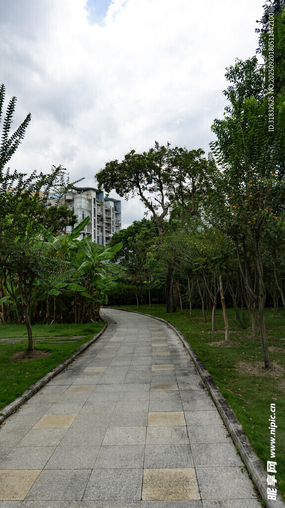 林間幽靜小路