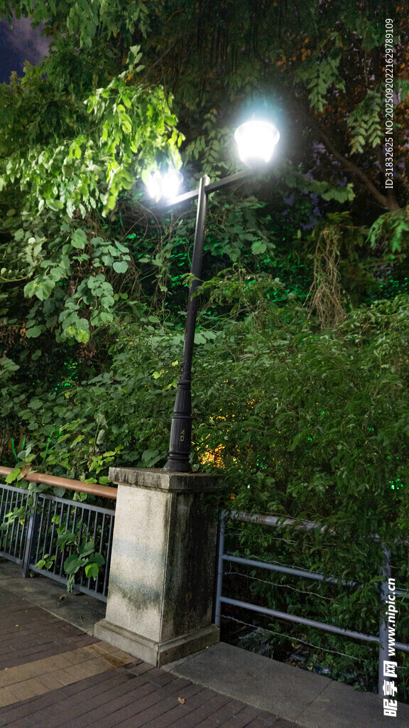 夜晚路燈下的綠植景觀