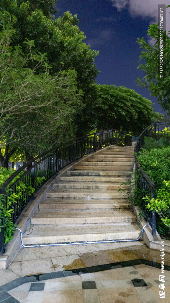 夜晚花園中的石階小徑