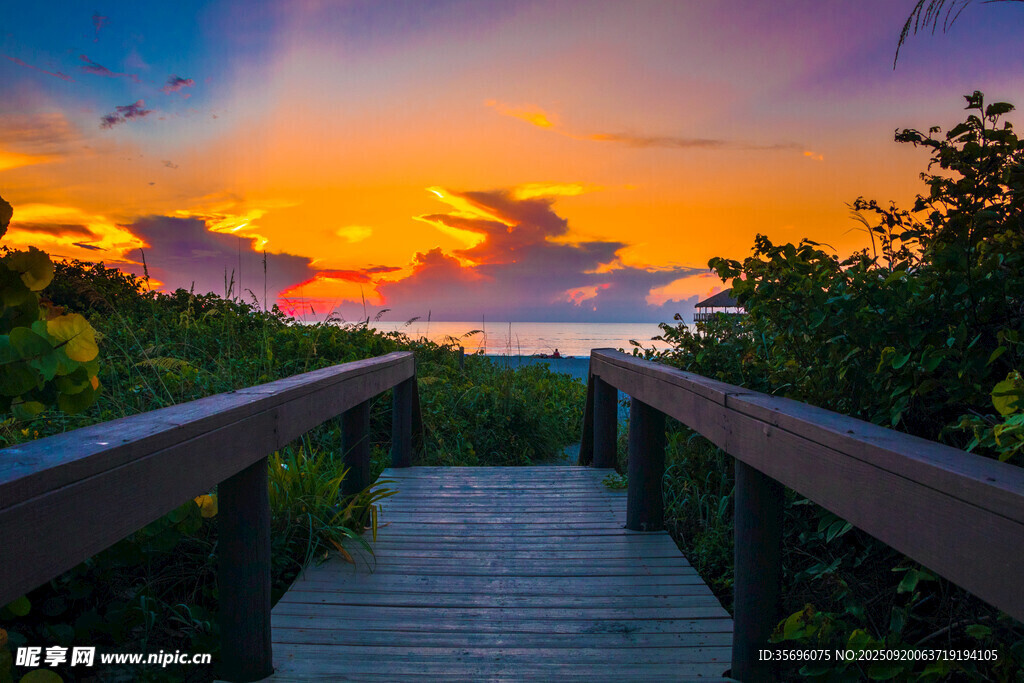 夕陽下的林間木棧道美景