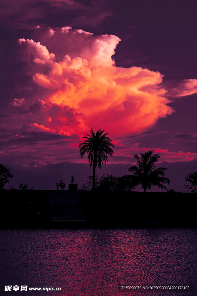夕陽下的湖畔椰樹美景