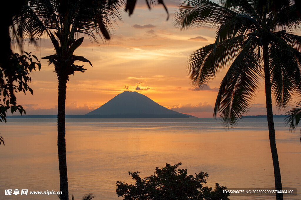 夕陽下的海島與棕櫚樹